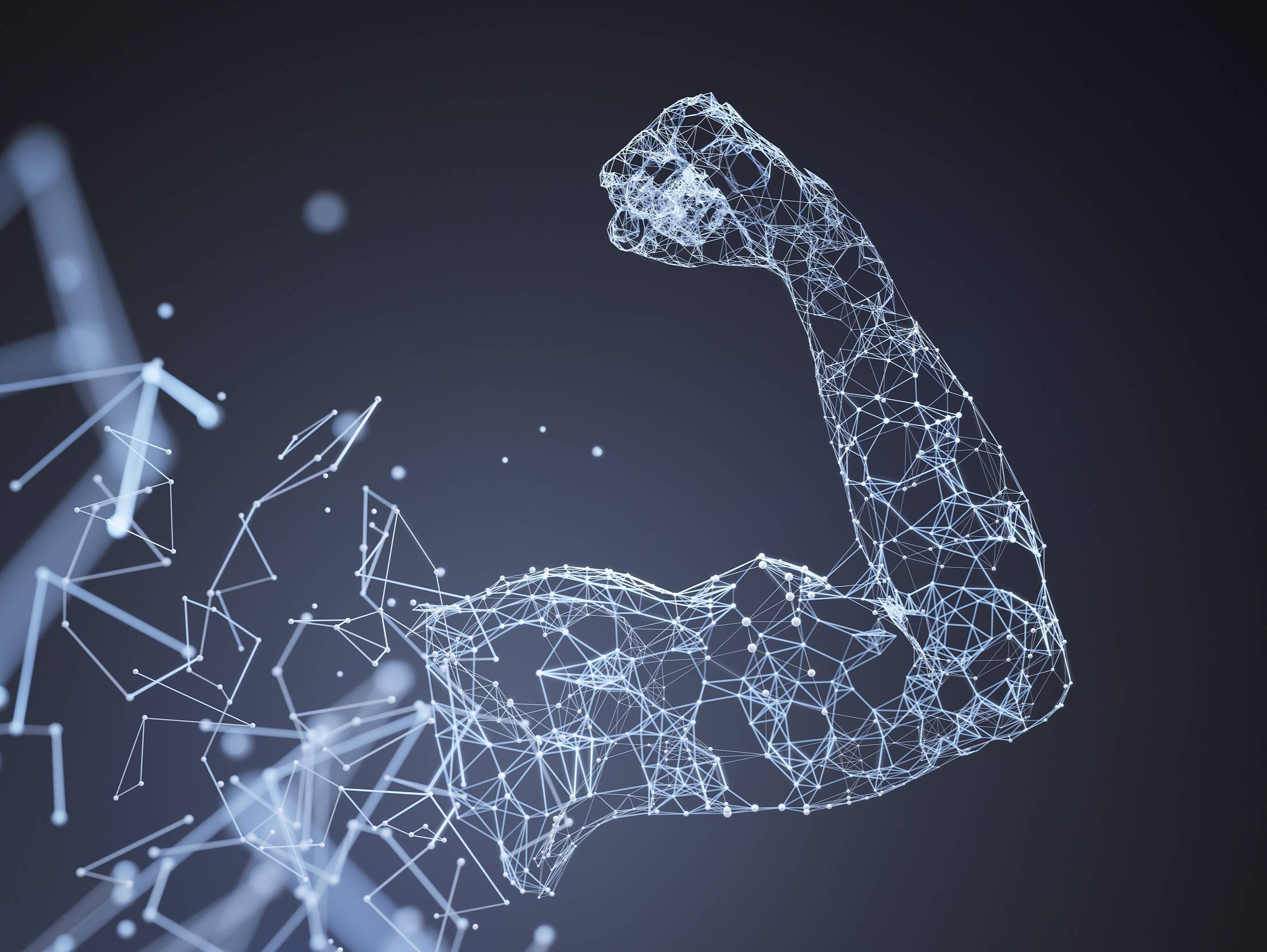 中美互联网的“统治级捕食者生态”_科技_网