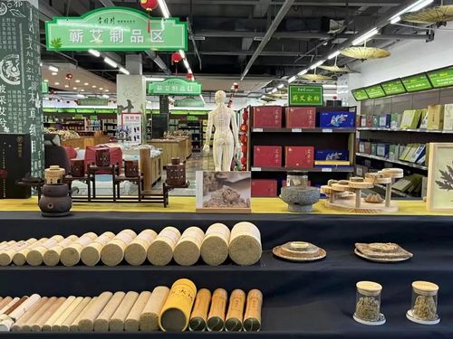 2023年暑期社会实践部系列报道 二十三 湖大学子三下乡 研究蕲艾产业发展,落实健康中国战略