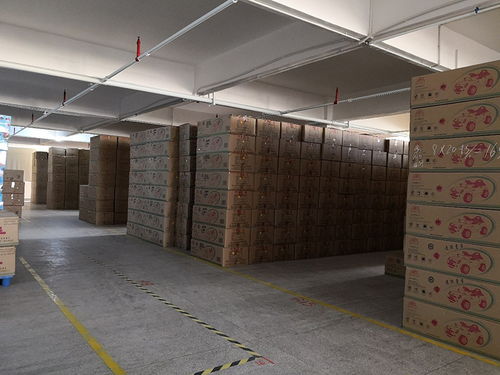 工厂揭秘丨美致宝科技 孩之宝青睐的玩具制造商,产品有多牛?